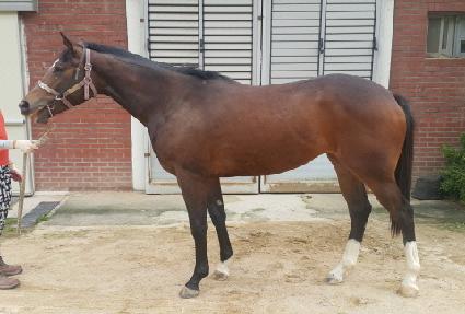 ���ֻ�� ����