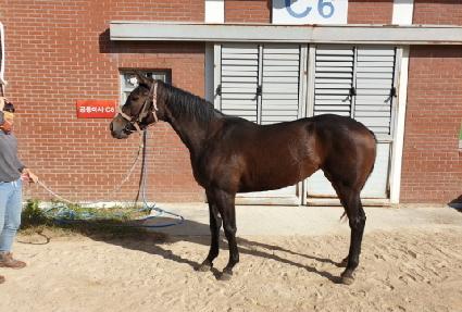 �����ǹ̼� ����