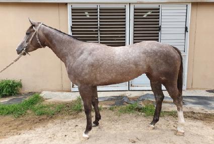 �м�Ű ����