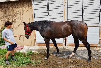 ��ƿ��Ʈ ����