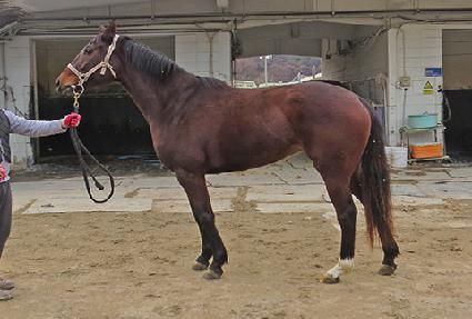 ��Ʋ�̽� ����