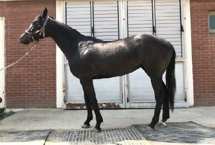 �������� ����