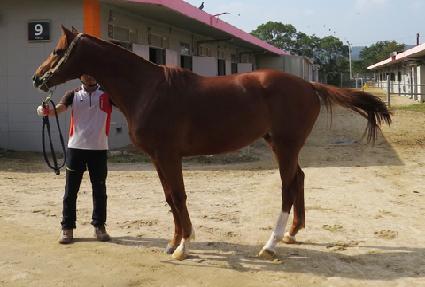 ī��ũ�ν� ����