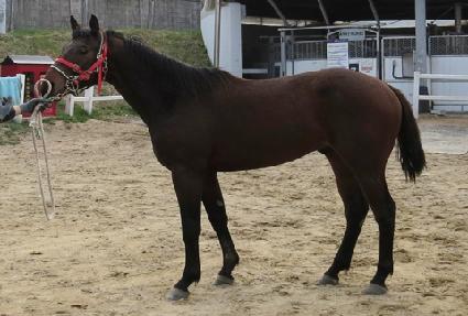 �����ε� ����