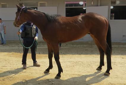 �ƶ󸮿� ����