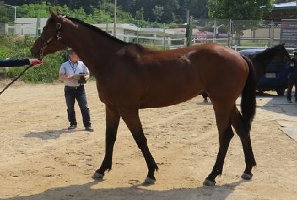 ���������� ����