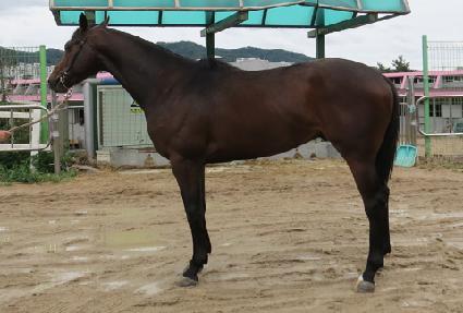 Ȳ���� ����