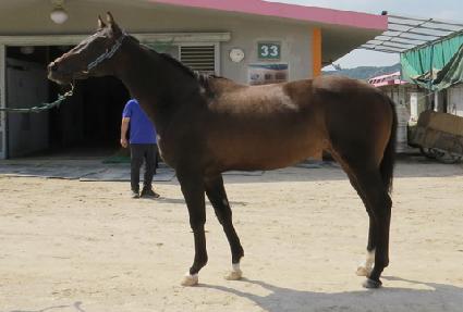 ���ʹ��Ѽ� ����