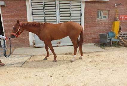 Ʈ����Ƽ�ƶ� ����