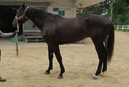 �ο��ƹ̰� ����