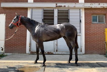 �������� ����