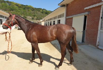 ���ҹ��� ����