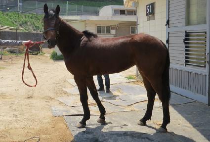 ������� ����