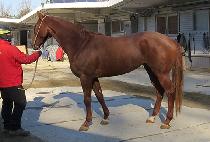 ������ (JENNY QUEEN) ����