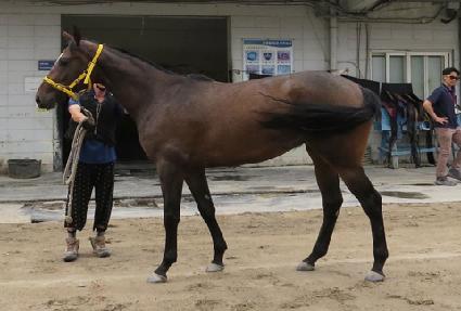 ���̽�õ�� ����