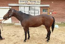 ������� (MONOPOLY) ����