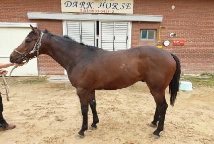 ������� ����