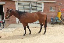 ��¸����� (RAON LEADING MAN) ����