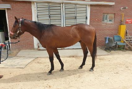 ��¸����� ����