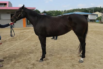 ��ũ�轺 ����