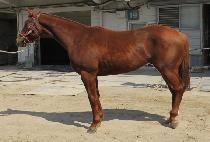 DETERMINATION picture