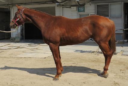 ���͹̳��̼� ����