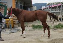 �Ķ����� (PARAN WANGJA) ����