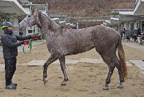 ���̽����� (ACE DANCING) ����