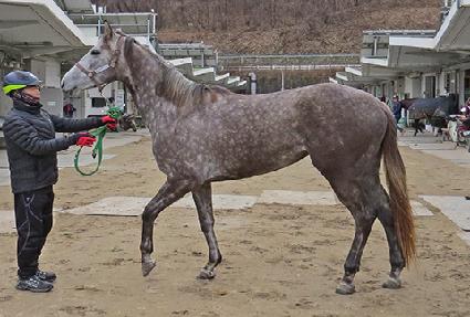 ���̽����� ����