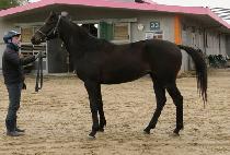 ��º�� (RAON BIG MAN) ����