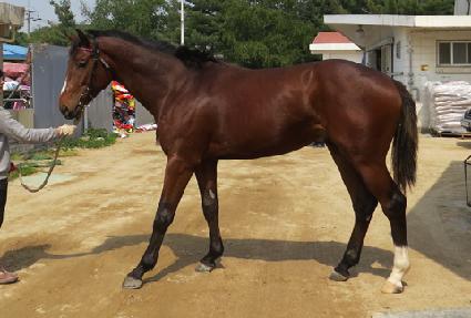 �������� ����