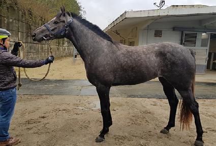 �޺���� ����