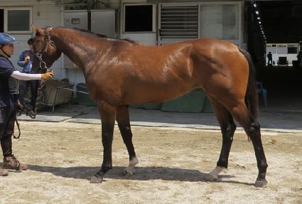 �۾�Ƽ�� ����