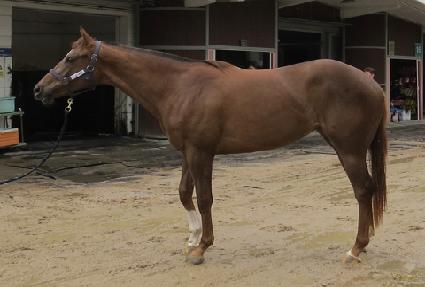 �۾�Ĺ ����