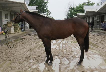 ������ũ ����