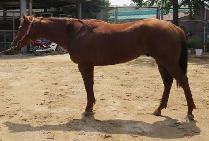 �Ŵ�� ����