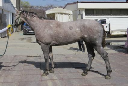 û������ ����