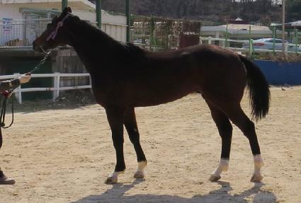 �޴������ ����