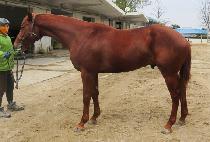 ����ȣ�� (DAEHYEONG HOJAE) ����