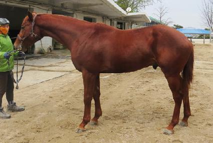 ����ȣ�� ����