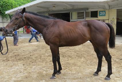 �����Ŀ� ����