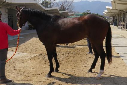 ���ϸ�� ����