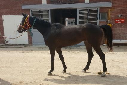 �ǹ��۽�Ʈ ����