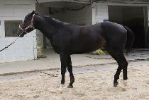 ���� (ONE JI) ����