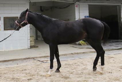 ���� ����