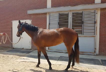 �Ϲٳ����� ����