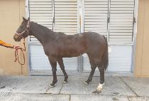 ������ (SEONYANG TOP) ����