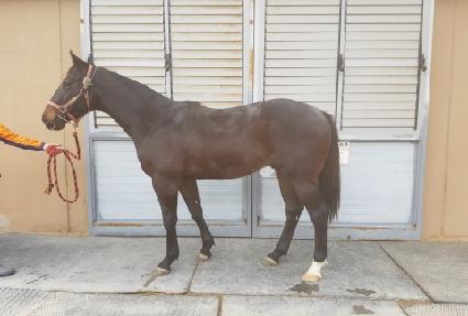 ������ ����