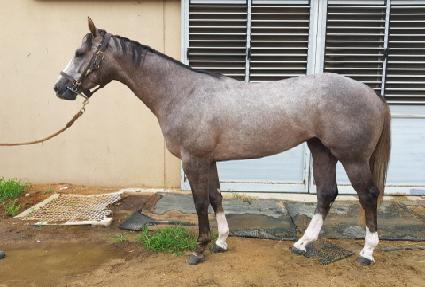 ���ͱ׷��� ����