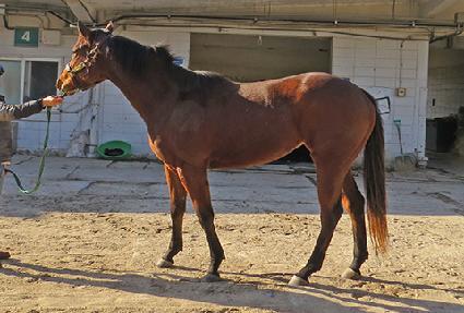 �������ູ ����